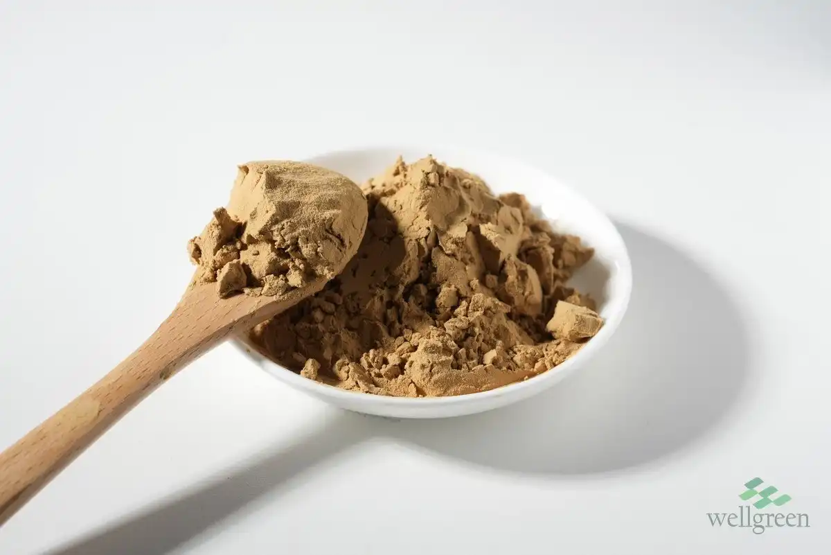 blog-720-1 Yucca schidigera extract powder, feed grade, in a white sample dish