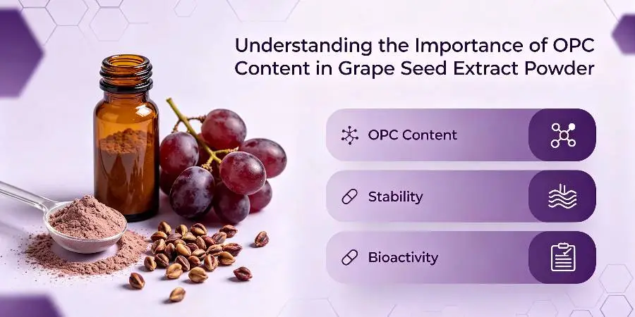 Understanding the Importance of OPC Content in Grape Seed Extract Powder Understanding the Importance of OPC Content in Grape Seed Extract Powder