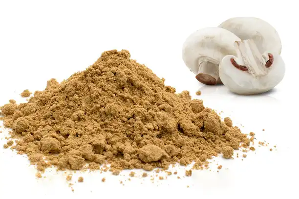 Does Organic Agaricus Bisporus Powder Have Any Side Effects?