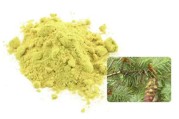 Taxifolin Dihydroquercetin Powder: A Natural Solution for Enhanced Health and Vitality