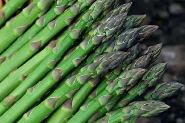 What organ is asparagus good for?