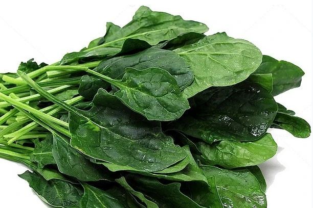 How to use spinach extract powder?