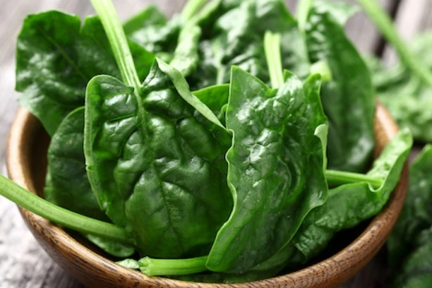 Is spinach extract good for you？