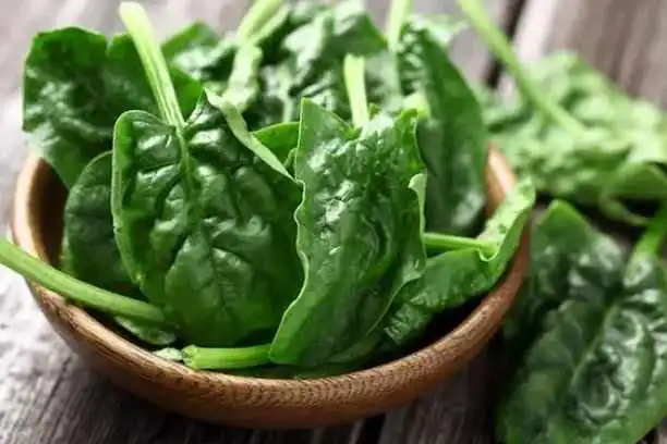 Does spinach extract help weight loss？