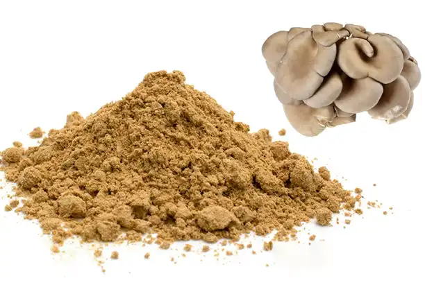 Why Organic Oyster Mushroom Powder is a Superfood