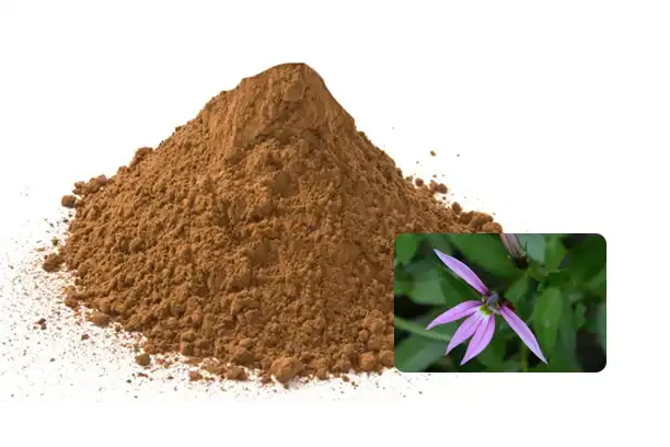 Chinese Lobelia Extract: A Guide to Its Health Benefits and Uses