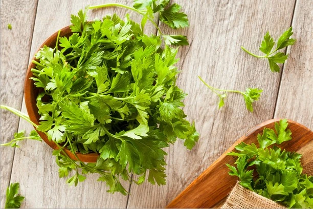 What is parsley extract good for?