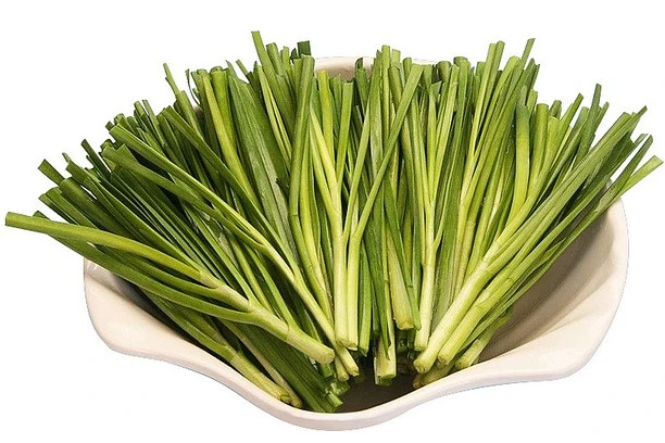 What does leek do for the body?