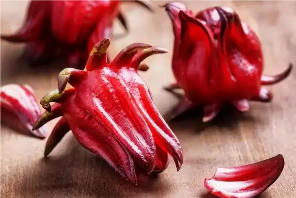 Is Roselle Good for Sleep?